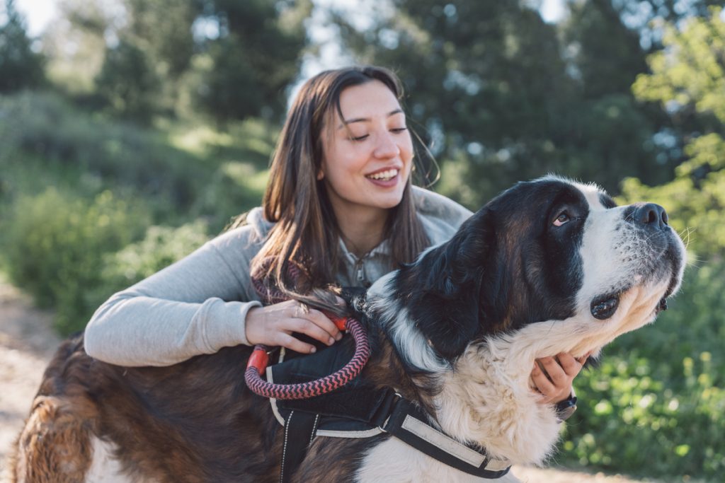 young woman with her saint bernard in the countryside. a smiling woman lovingly pets her saint bernard during a countryside excursion.